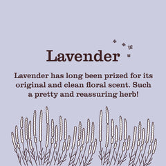 Lavender Scent Booster
