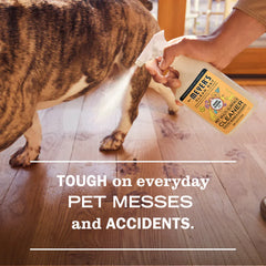 Orange Blossom Pet Multi-Surface Cleaner