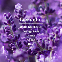 Lavender Fabric Freshener
