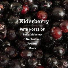 Elderberry Dish Soap