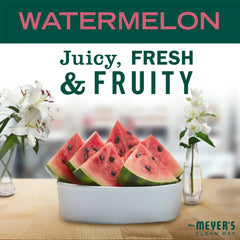 Watermelon Foaming Hand Soap