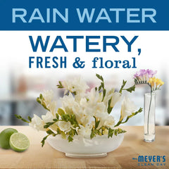 Rain Water Ultra Concentrated Laundry Detergent