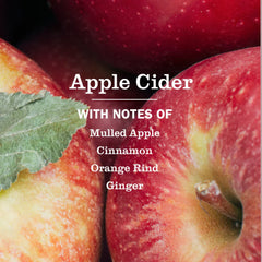 Apple Cider Dish Soap 3-count Bundle