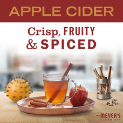Apple Cider Tin Candle
