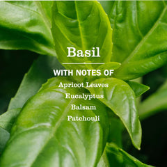 Basil Multi-Surface Concentrate