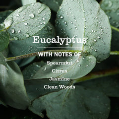 Eucalyptus Liquid Hand Soap