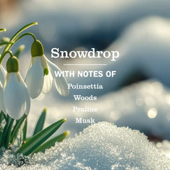 Snowdrop Room Freshener