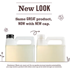 Honeysuckle Dish Soap Refill