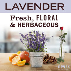 Lavender Toilet Bowl Cleaner